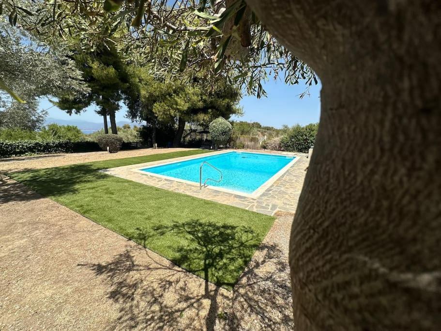 Villa Terrina Agioi Apostoloi  Exterior photo